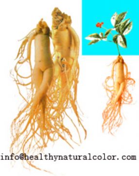 Ginseng Extract